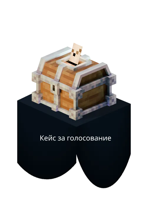 кейс